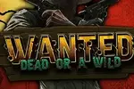 Wanted Dead or Wild — Rajabets Casino